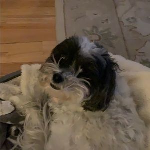 Meet your Posher, Deb